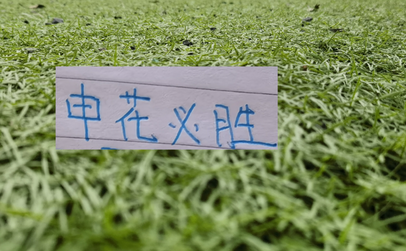 v站体育官网-第8轮中超未扣分纯净版！可能才是申花球迷最想要积分榜